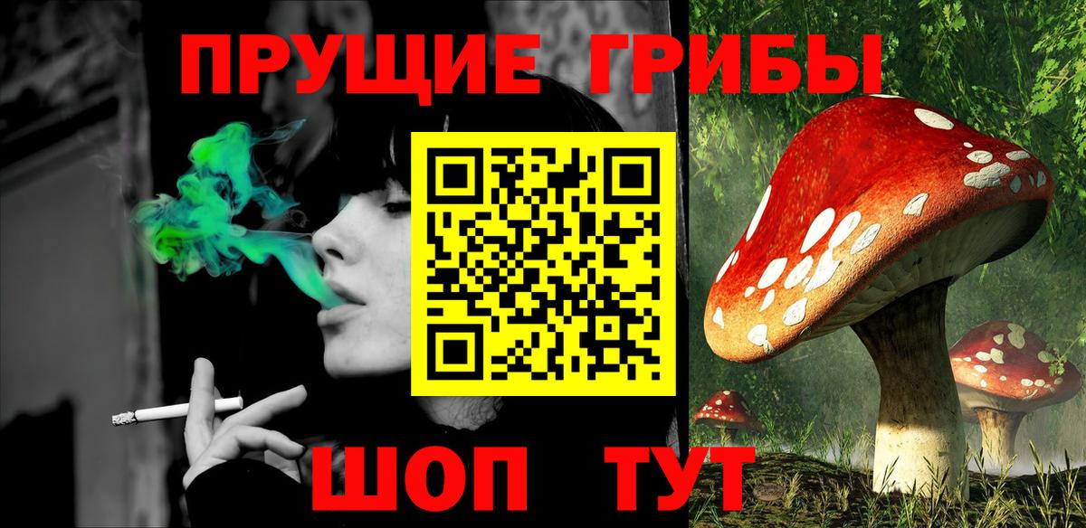 Псилоцибиновые грибы мухоморы Димитровград