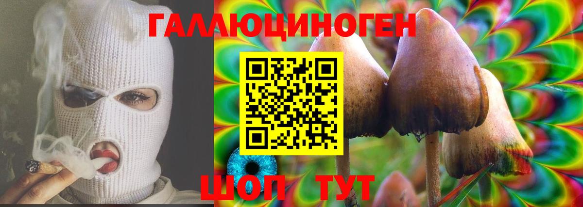 Галлюциногенные грибы GOLDEN TEACHER  Вход с VPN  купить   Димитровград 