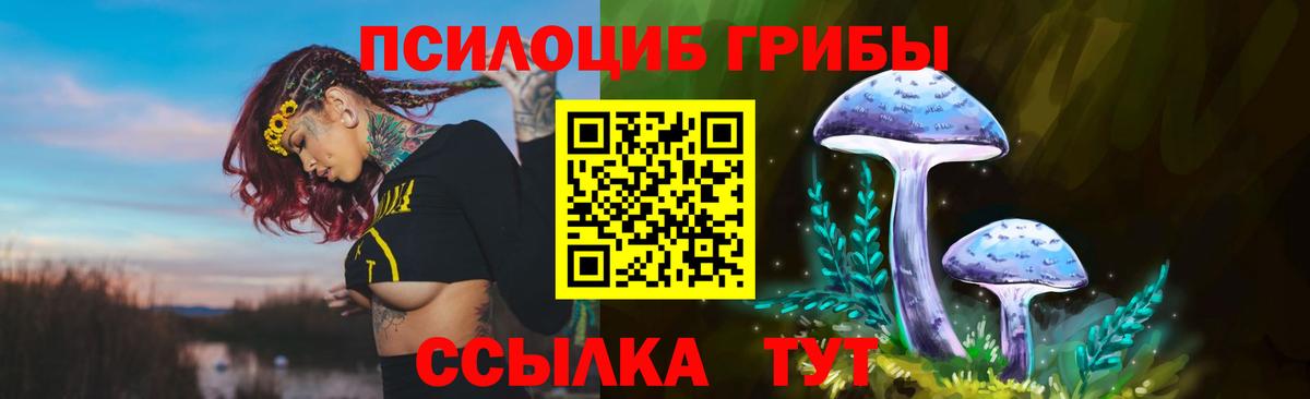 Канабис  Меф МЯУ МЯУ  Вход с VPN  APVP СОЛЬ кристаллы  Димитровград  ГАШИШ  Экстази  Меф кристаллы  КОКАИН 